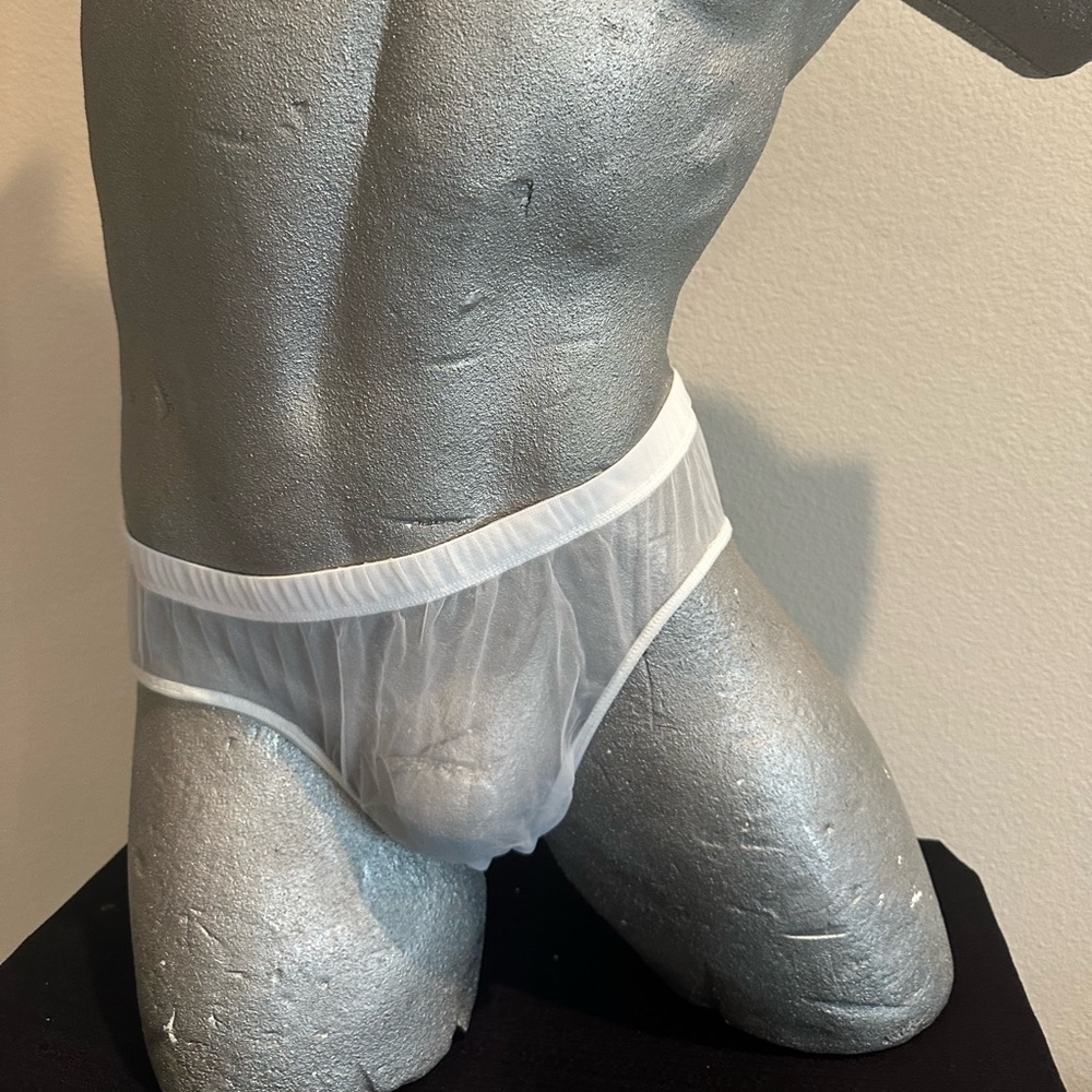 Sheer Brief  - White-  #45